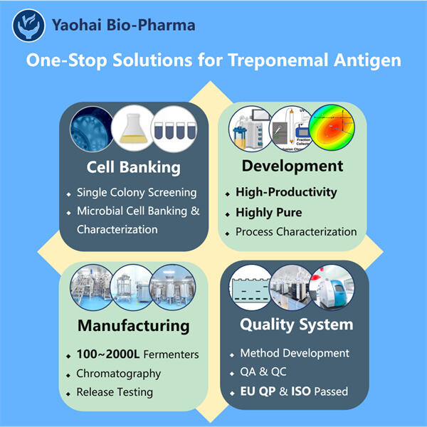 Understanding the Importance of GMP Compliance in Treponemal Antigen Production