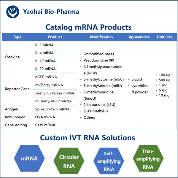 التطبيقات العلاجية الناشئة لـ mRNA للإنترلوكين في العلاج المناعي للسرطان.