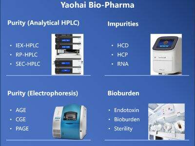 The Role of Recombinant Peptides in Biopharmaceutical Manufacturing