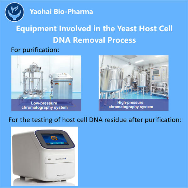 バイオプロセスのための酵母宿主細胞 DNA 除去について理解する。