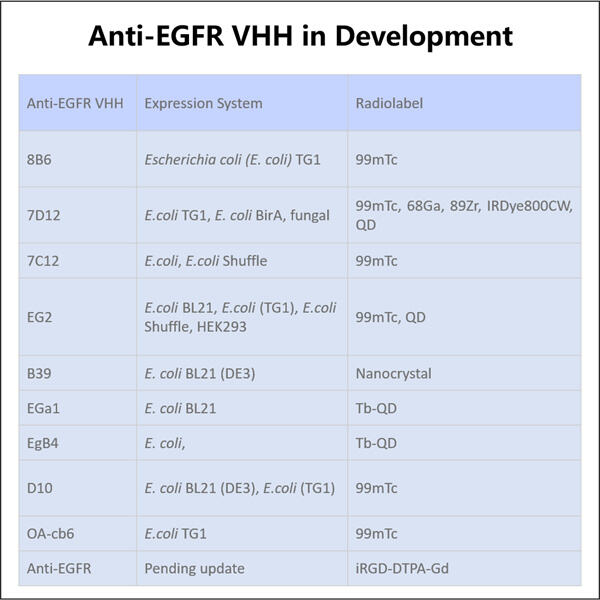 Streamlined Development of Anti-EGFR VHH using GMP Techniques