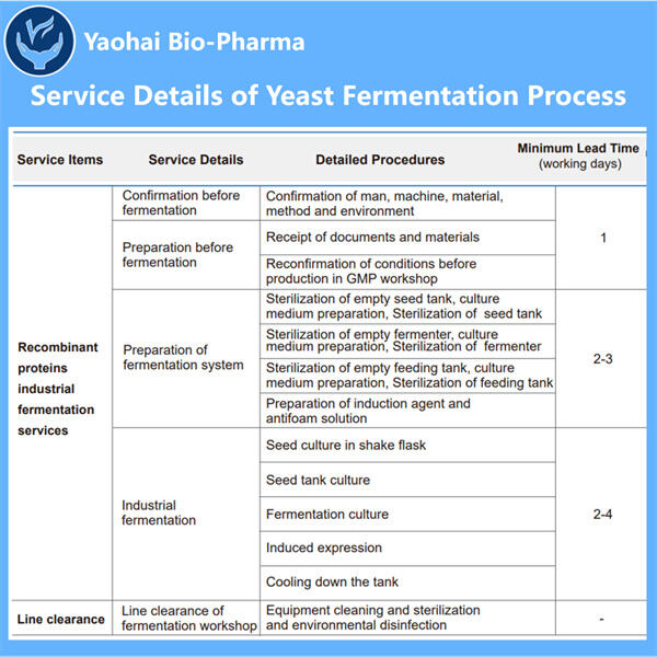 Demystifying the Fermentation Process