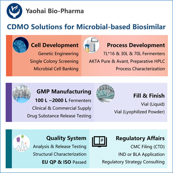 Challenges and Opportunities in Microbial Biosimilar Manufacturing