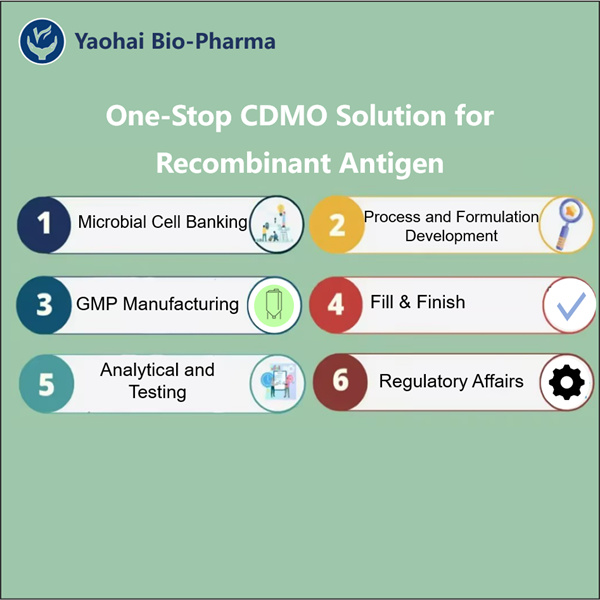 Advancing Medical Breakthroughs with Recombinant Antigen Technology