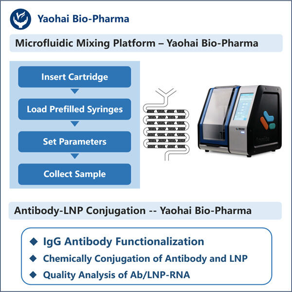 Enhancing the therapeutic efficacy of RNA-based drugs with Antibody-LNP conjugates