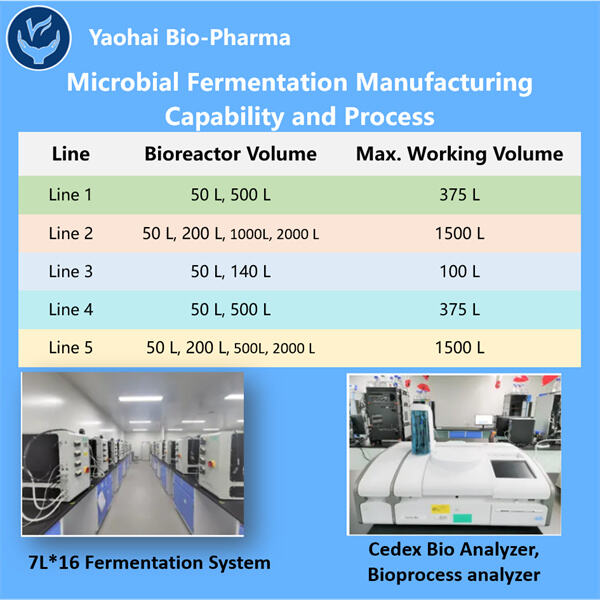 Upcoming Trends and Applications for Microbial Fermentation Production