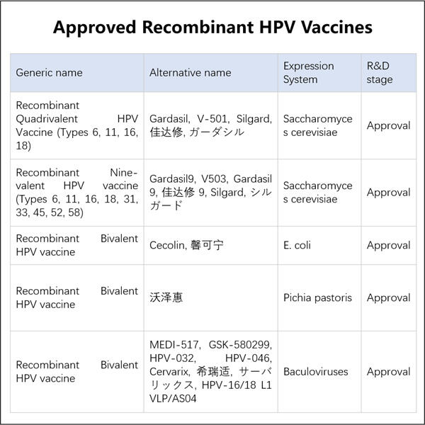 אמצעי בקרת איכות בייצור אנטיגן HPV