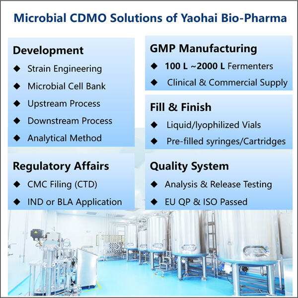 The Future of Recombinant EGF Manufacturing