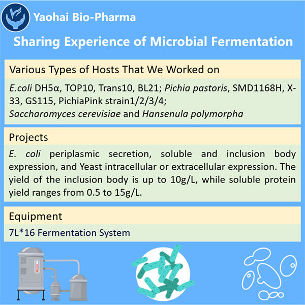 Advancing Microbial Fermentation for Medicine and Healthcare