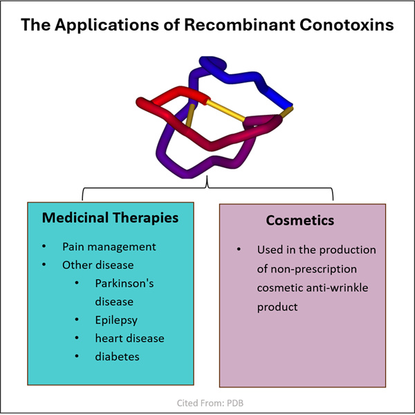 Recombinant Conopeptides