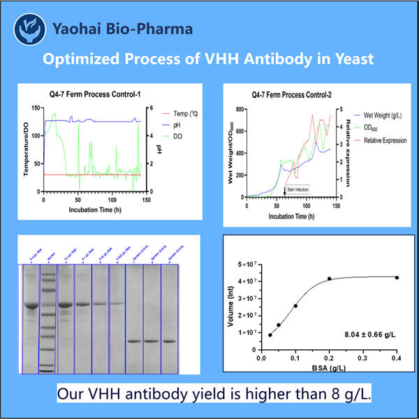 The Power of VHH Antibodies