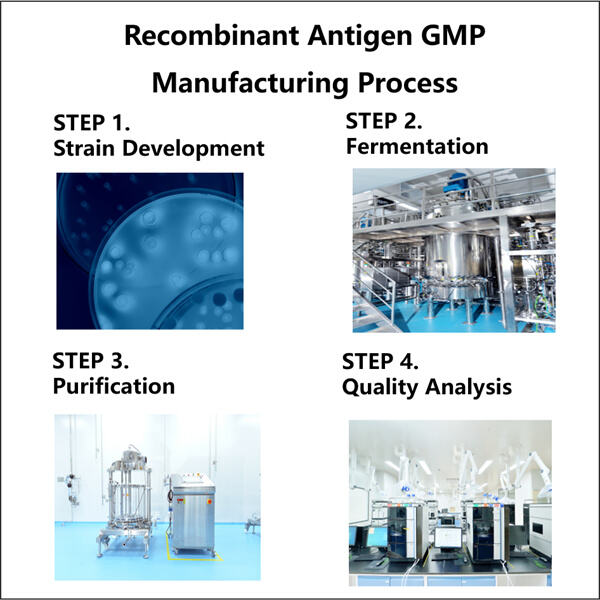 Streamlined GMP Manufacturing Processes for Faster Drug Developmen