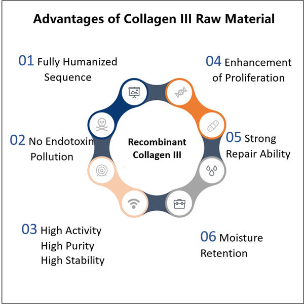 Peran penting bahan baku Kolagen III dalam produk anti penuaan