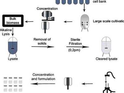 Recombinant Type III Collagen: How Manufacturers Are Advancing Production