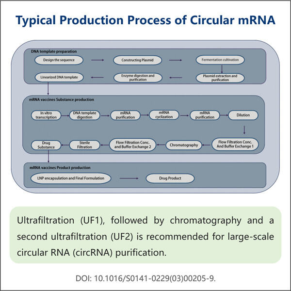 Novel approaches for efficient circRNA isolation