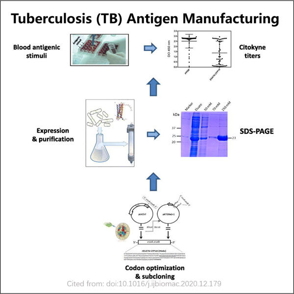 A Critical Step Towards TB Diagnosis