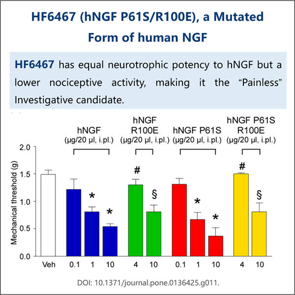 Examen du processus de fabrication du NGF recombinant