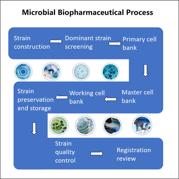 Factores que afectan la ampliación del proceso biofarmacéutico microbiano