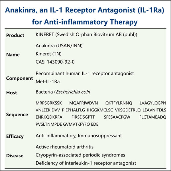 Nedsat IL-1Ra-produktion og dens forbindelse til kronisk inflammation.