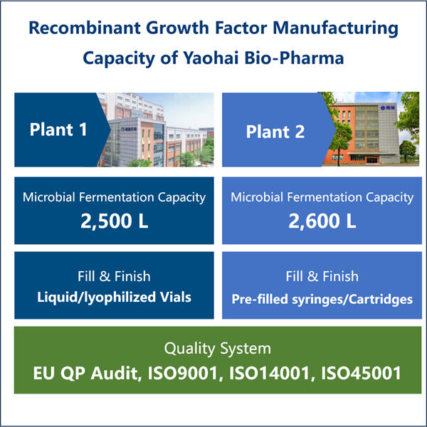 Customized Solutions for High-Volume GMP Growth Factor Manufacturing