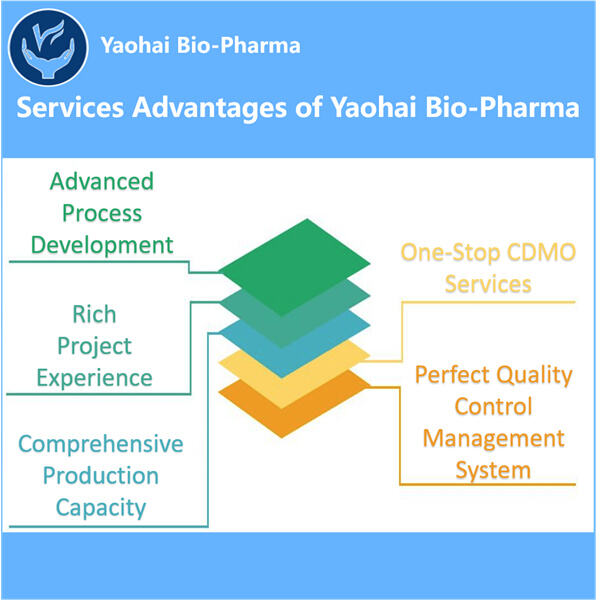 The Future of Cancer Treatment with GMP Anti-HER3 VHH Production