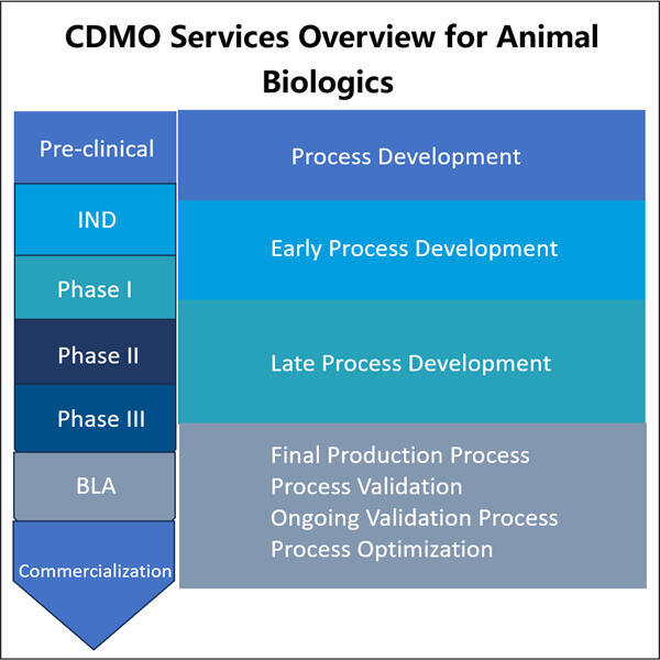 Innovatieve technologieën in microbiële CDMO voor dierlijke biologics