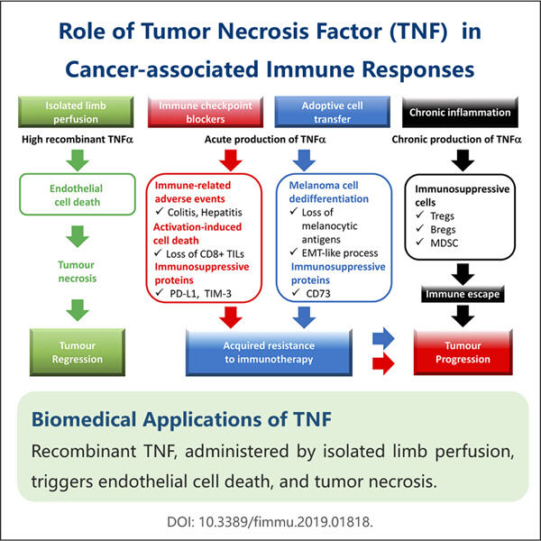 TNF-i tootmise katkestamine samm-sammult