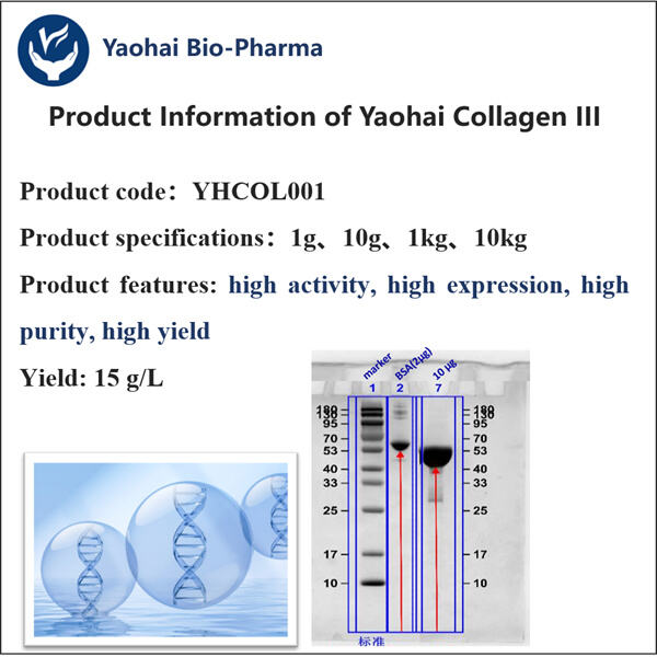 The Use of Humanized Collagen III in Wound Healing and Scar Reduction.