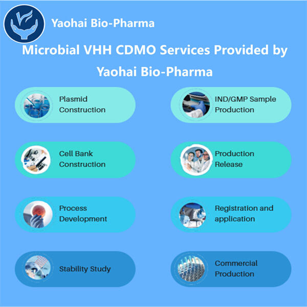 Key Considerations for Biopharmaceutical Manufacturing