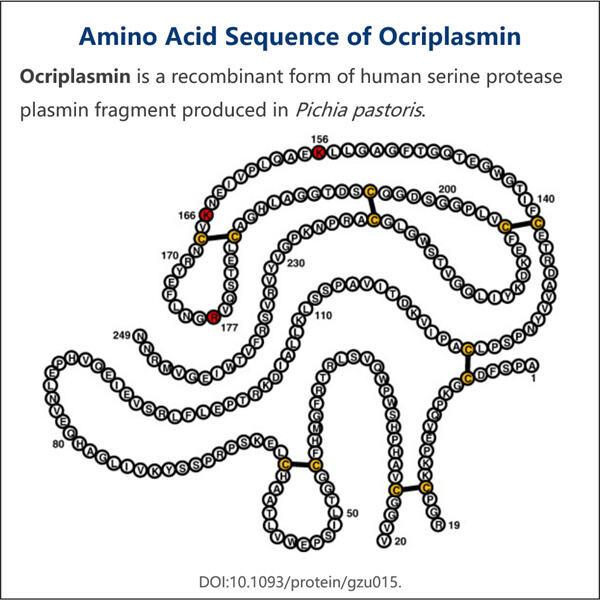 أحدث التقنيات وعمليات التصنيع لـ Ocriplasmin Biosimilar