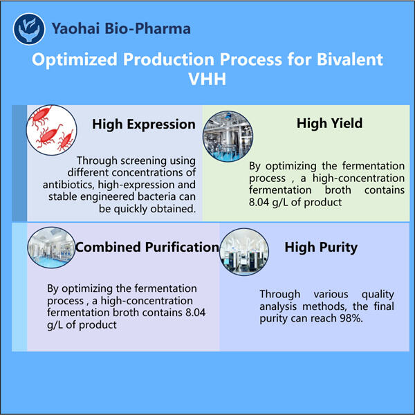 Revolutionierung der Biologika mit bivalenten VHH-Produktionsmethoden