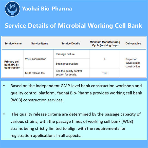 Assurer la cohérence et la fiabilité de la production microbienne grâce à une banque de cellules fonctionnelle