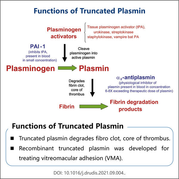 Innoverende benaderings tot produksie van afgeknotte plasmine