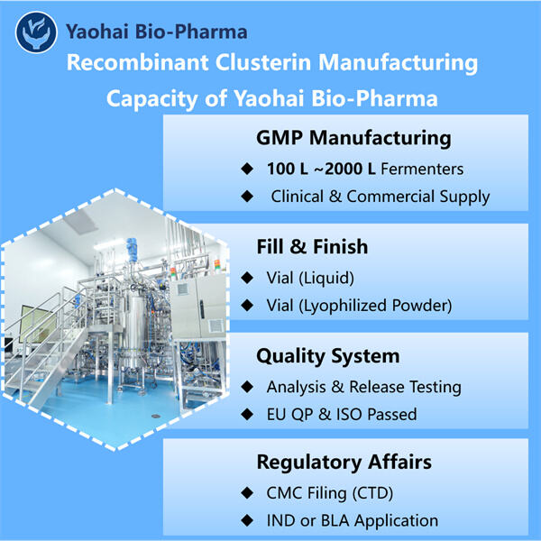 Meeting Global Demands for Recombinant Clusterin in Drug Developmen