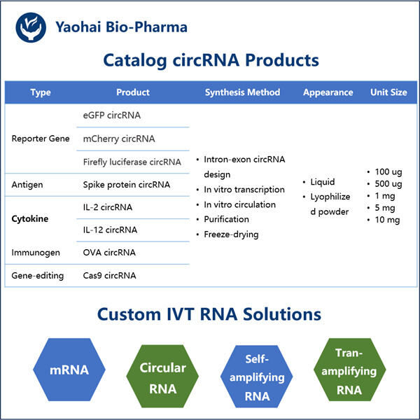 A New Frontier in Drug Development and Therapeutics.