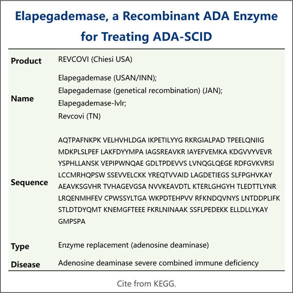 نایاب بیماریوں کے علاج کے لیے Elapegademase biosimilar پیداوار میں امید افزا نتائج