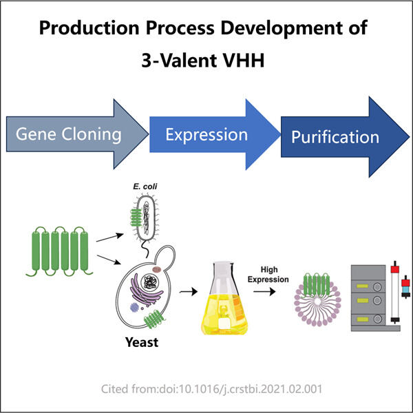 A Breakthrough in Biotechnology