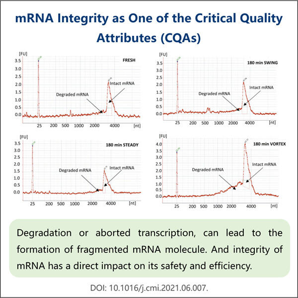 Mengevaluasi Keandalan Sampel mRNA dengan Pengujian Integritas