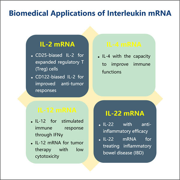 استكشاف وظيفة mRNA للإنترلوكين في الاضطرابات العصبية