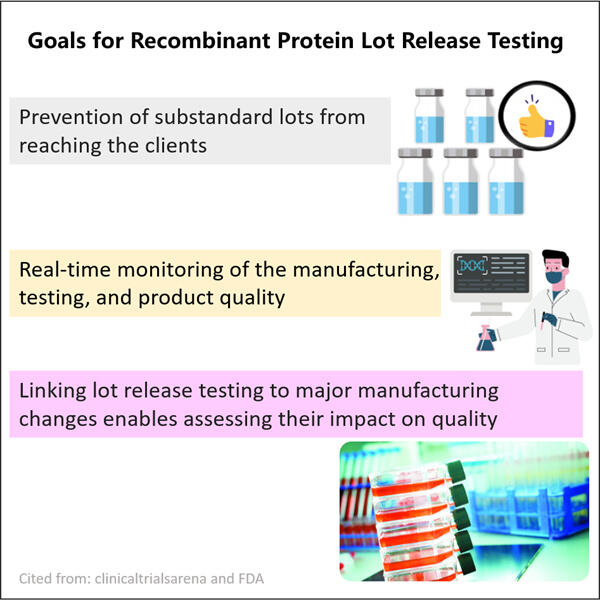 The Science Behind Recombinant Protein Lot Release Testing