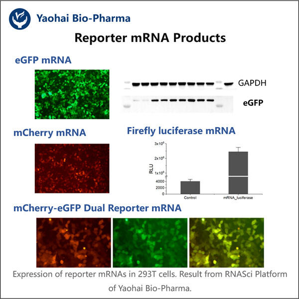 A Promising Strategy for Disease Treatment