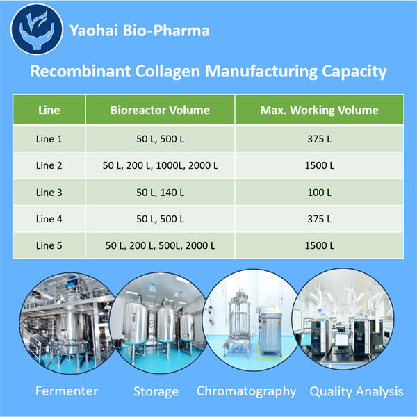 Revolutionizing the Beauty Industry with Recombinant Collagen Manufacturing