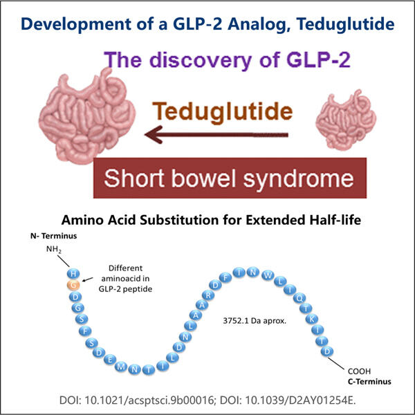 Biomanufacturing Strategies for Large-Scale Production of GLP-2 Agonis