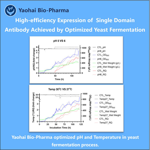 Advancements in sdAb formulation for enhanced stability and shelf-life