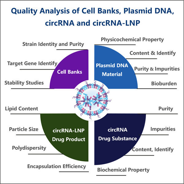 The Importance of Quality Control in Molecular Mechanisms