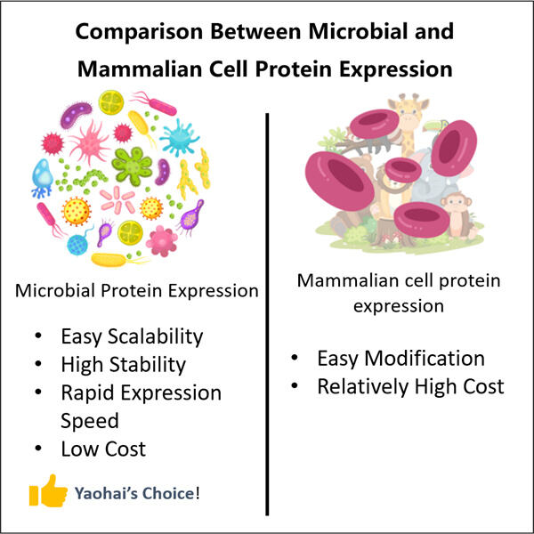 Microbial Biologics Development from Lab to Marke