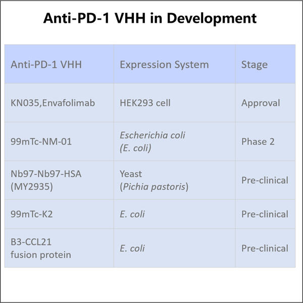 GMP Anti-PD-1PD-L1 VHH nhắm mục tiêu vào tế bào ung thư như thế nào