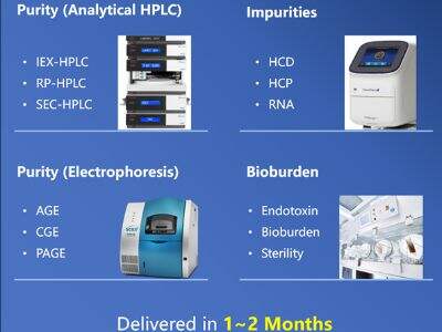 Efficient Microbial Cell Banking: Improving Yield and Quality in Biotech Manufacturing