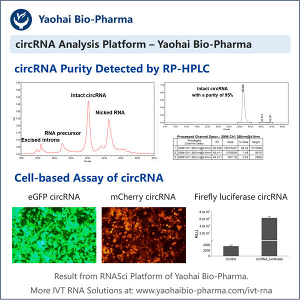 Maximizing Scientific Research Through circRNA Quality Control