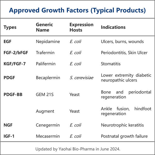 Advancing Research with High-Quality GMP Growth Factor Manufacturing